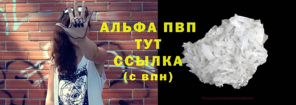 шишки Армянск