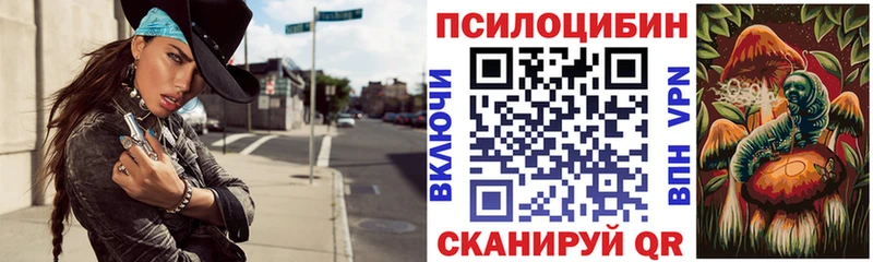 Галлюциногенные грибы Cubensis  Багратионовск 